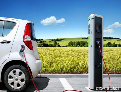 从能源转型到场景延伸 中石化多元布局背后的生态棋局